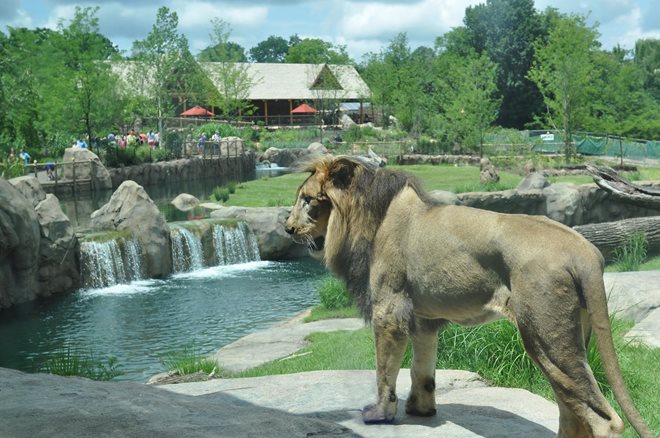 Cincinnati-Zoo.jpg