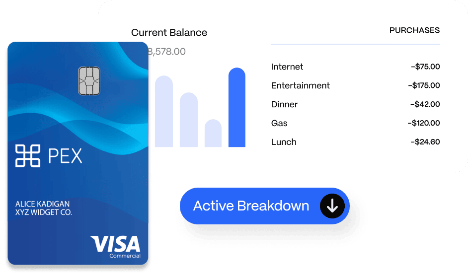 Image of a VISA commercial card next to a financial summary showing a $38,578 balance and purchases including internet, entertainment, dinner, gas, and lunch.