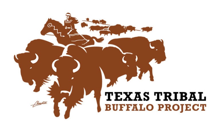 Stylized illustration of a person on horseback herding buffalo, featuring the text "Texas Tribal Buffalo Project" on the right to highlight the mission of the Texas Tribal Buffalo Project.