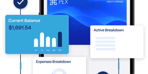 A smartphone displays financial software with graphs and cards showing a current balance of $1,691.54 and expense breakdowns.