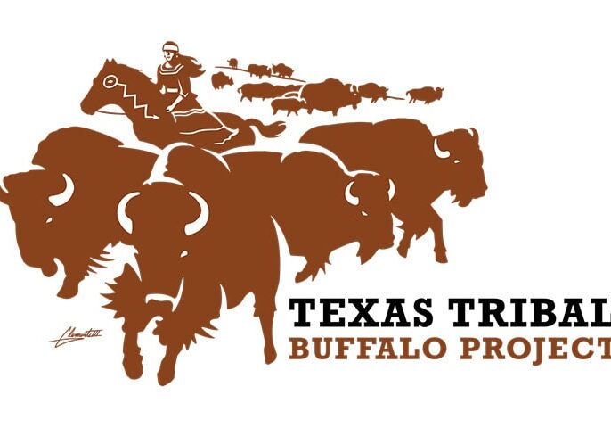 Stylized illustration of a person on horseback herding buffalo, featuring the text "Texas Tribal Buffalo Project" on the right to highlight the mission of the Texas Tribal Buffalo Project.