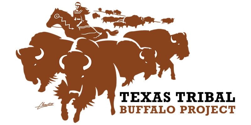 Stylized illustration of a person on horseback herding buffalo, featuring the text "Texas Tribal Buffalo Project" on the right to highlight the mission of the Texas Tribal Buffalo Project.